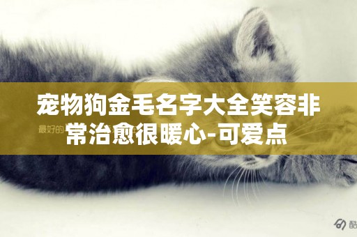 寵物狗金毛名字大全笑容非常治愈很暖心-可愛點 