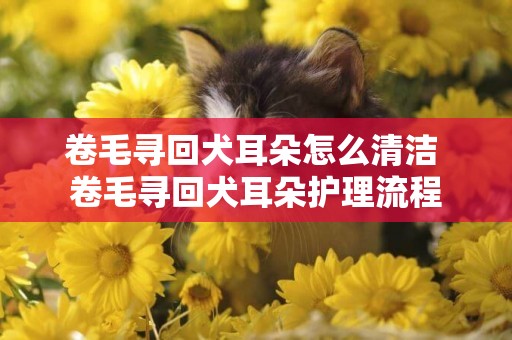 卷毛尋回犬耳朵怎么清潔 卷毛尋回犬耳朵護理流程
