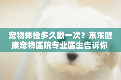 寵物體檢多久做一次？京東健康寵物醫院專業醫生告訴你 