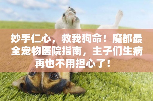 妙手仁心，救我狗命！魔都最全寵物醫院指南，主子們生病再也不用擔心了！ 