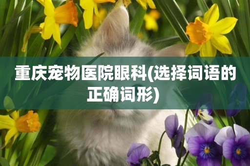 重慶寵物醫院眼科(選擇詞語的正確詞形) 