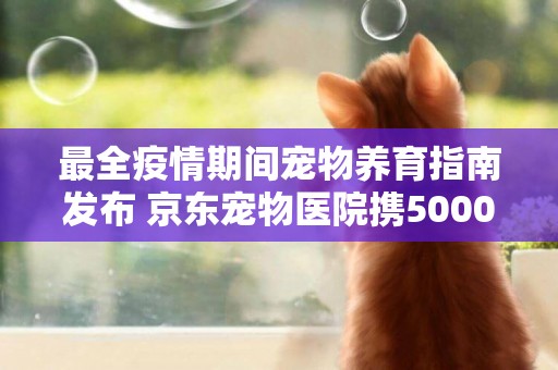 最全疫情期間寵物養育指南發布 京東寵物醫院攜5000專業寵物醫生啟動線上免費問診 