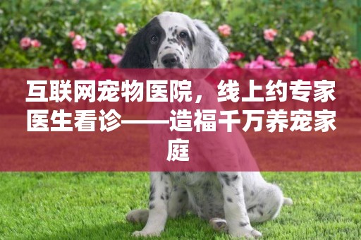 互聯網寵物醫院，線上約專家醫生看診——造福千萬養寵家庭 