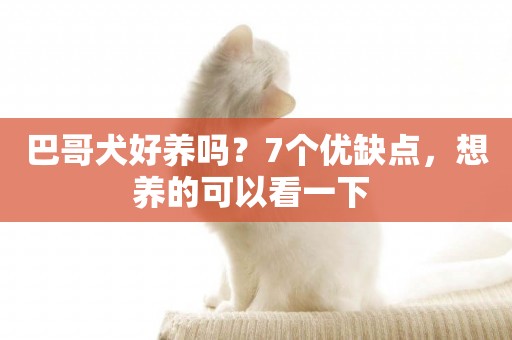 巴哥犬好養嗎？7個優缺點，想養的可以看一下 