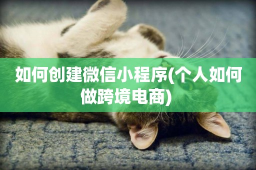 如何創建微信小程序(個人如何做跨境電商) 