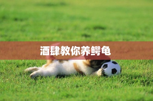 酒肆教你養鱷龜 