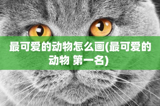 最可愛的動物怎么畫(最可愛的動物 第一名) 
