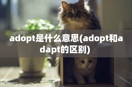 adopt是什么意思(adopt和adapt的區別) 