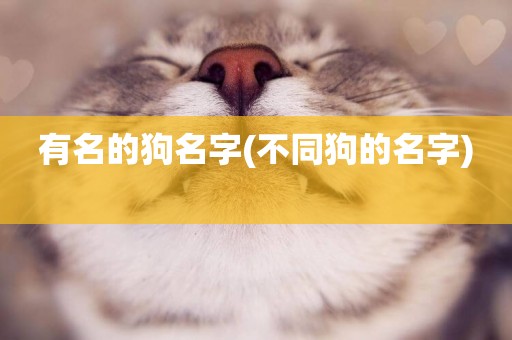 有名的狗名字(不同狗的名字) 