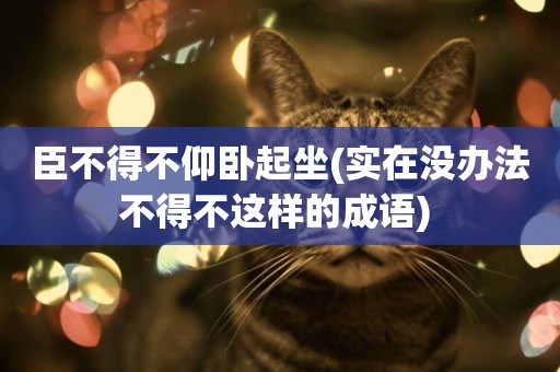 臣不得不仰臥起坐(實在沒辦法不得不這樣的成語) 