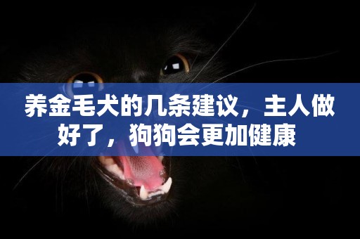養金毛犬的幾條建議，主人做好了，狗狗會更加健康 