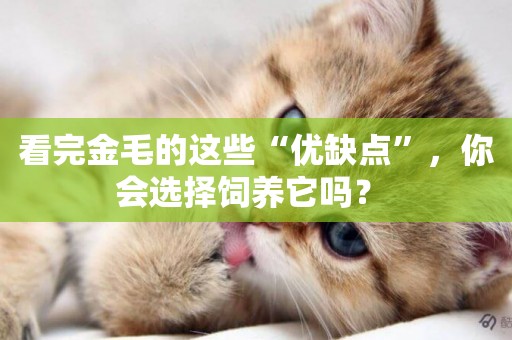 看完金毛的這些“優缺點”，你會選擇飼養它嗎？ 