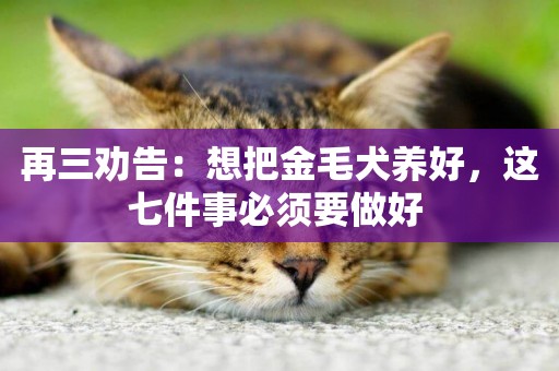 再三勸告：想把金毛犬養好，這七件事必須要做好 