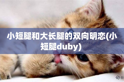 小短腿和大長腿的雙向明戀(小短腿duby) 