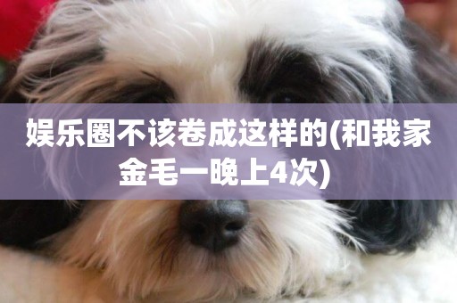娛樂圈不該卷成這樣的(和我家金毛一晚上4次) 
