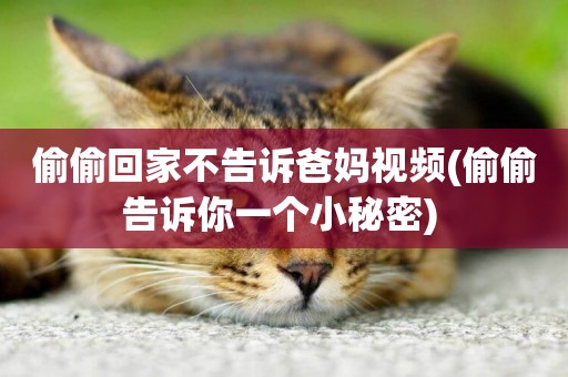 偷偷回家不告訴爸媽視頻(偷偷告訴你一個小秘密) 