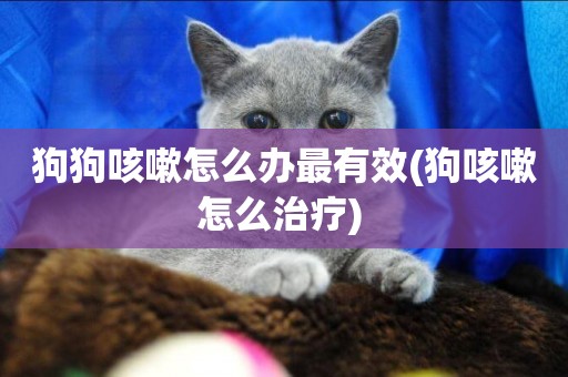狗狗咳嗽怎么辦最有效(狗咳嗽怎么治療) 