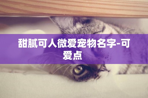 甜膩可人微愛寵物名字-可愛點 