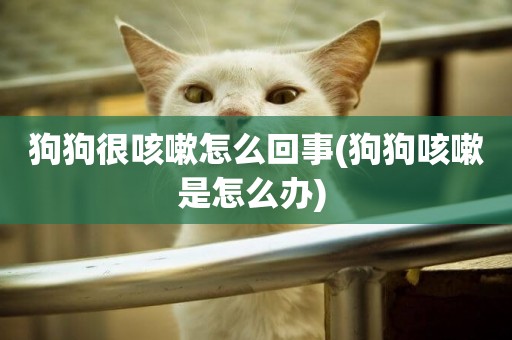 狗狗很咳嗽怎么回事(狗狗咳嗽是怎么辦) 