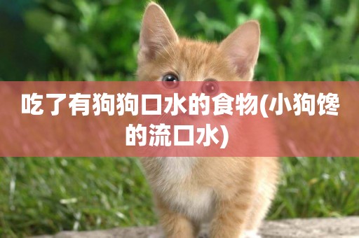 吃了有狗狗口水的食物(小狗饞的流口水) 