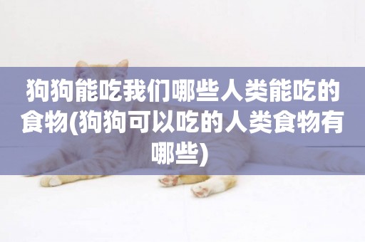 狗狗能吃我們哪些人類能吃的食物(狗狗可以吃的人類食物有哪些) 