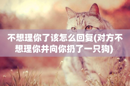 不想理你了該怎么回復(對方不想理你并向你扔了一只狗) 