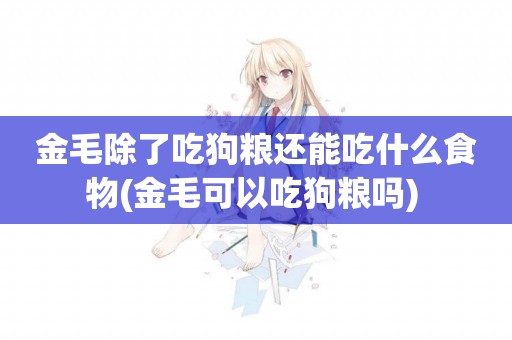金毛除了吃狗糧還能吃什么食物(金毛可以吃狗糧嗎) 