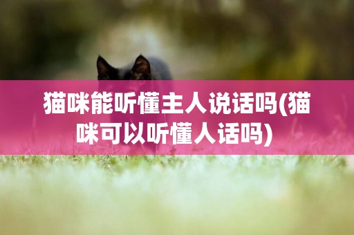 貓咪能聽懂主人說話嗎(貓咪可以聽懂人話嗎) 