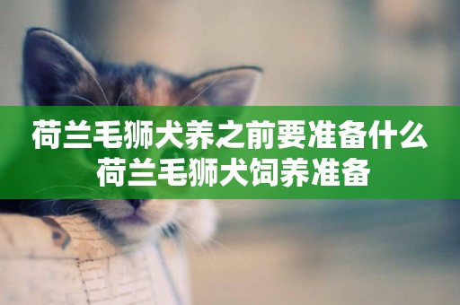 荷蘭毛獅犬養之前要準備什么 荷蘭毛獅犬飼養準備