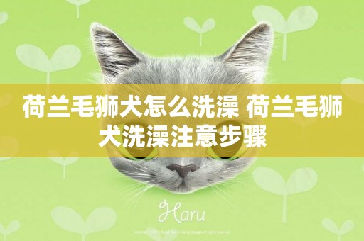 荷蘭毛獅犬怎么洗澡 荷蘭毛獅犬洗澡注意步驟