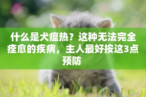 什么是犬瘟熱？這種無法完全痊愈的疾病，主人最好按這3點預防 