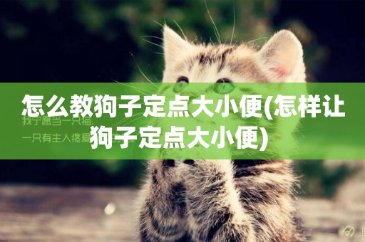 怎么教狗子定點大小便(怎樣讓狗子定點大小便) 