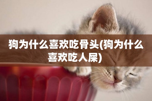 狗為什么喜歡吃骨頭(狗為什么喜歡吃人屎) 