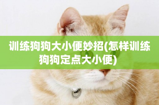 訓練狗狗大小便妙招(怎樣訓練狗狗定點大小便) 