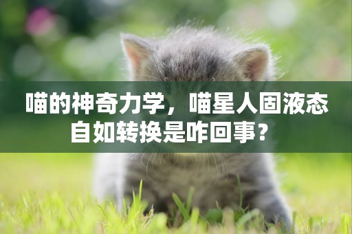 喵的神奇力學，喵星人固液態自如轉換是咋回事？ 