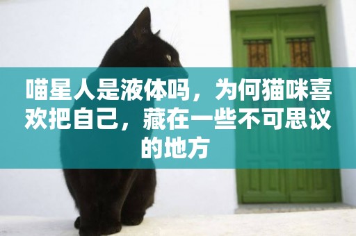 喵星人是液體嗎，為何貓咪喜歡把自己，藏在一些不可思議的地方 