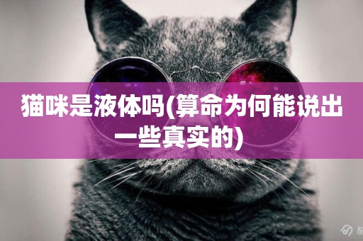 貓咪是液體嗎(算命為何能說出一些真實的) 