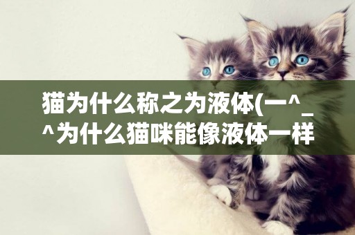 貓為什么稱之為液體(一^_^為什么貓咪能像液體一樣) 