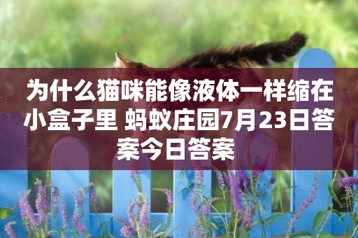 為什么貓咪能像液體一樣縮在小盒子里 螞蟻莊園7月23日答案今日答案 