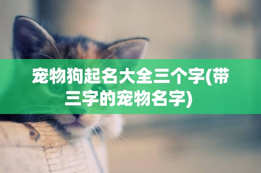 寵物狗起名大全三個字(帶三字的寵物名字) 