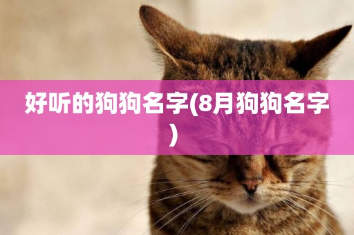 好聽的狗狗名字(8月狗狗名字) 