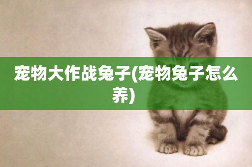 寵物大作戰兔子(寵物兔子怎么養) 