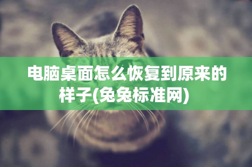 電腦桌面怎么恢復到原來的樣子(兔兔標準網) 