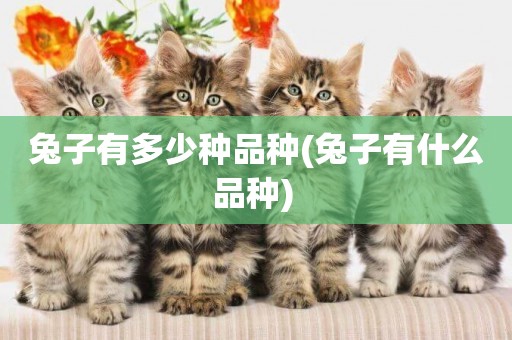 兔子有多少種品種(兔子有什么品種) 