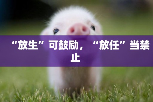 “放生”可鼓勵，“放任”當禁止 