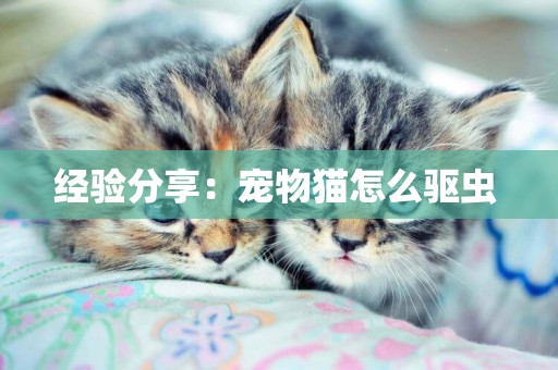 經驗分享：寵物貓怎么驅蟲 