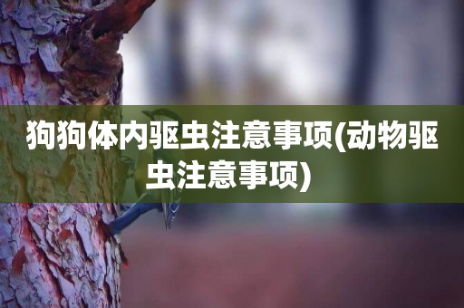 狗狗體內驅蟲注意事項(動物驅蟲注意事項) 