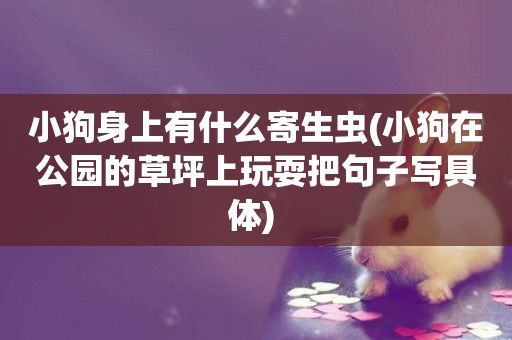 小狗身上有什么寄生蟲(小狗在公園的草坪上玩耍把句子寫具體) 
