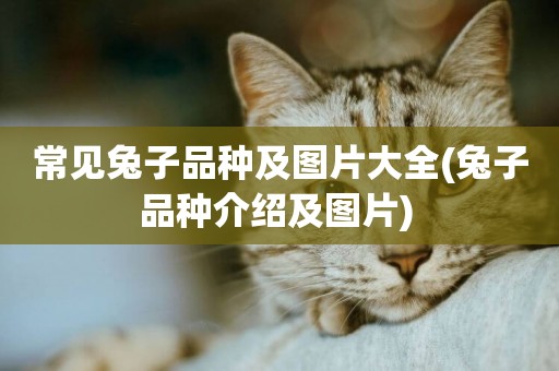 常見兔子品種及圖片大全(兔子品種介紹及圖片) 
