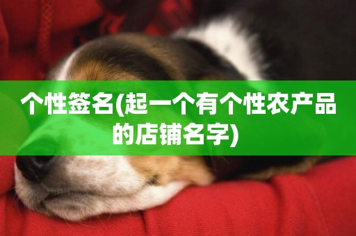 個性簽名(起一個有個性農產品的店鋪名字) 